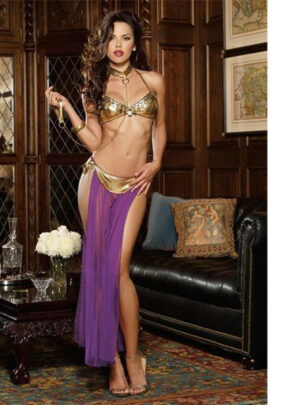 Sexy Belly Dance Costume, Harem Slave Costume, Sexy Costume for Girls, Sexy Short Night Dress, Night Dresses In Pakistan